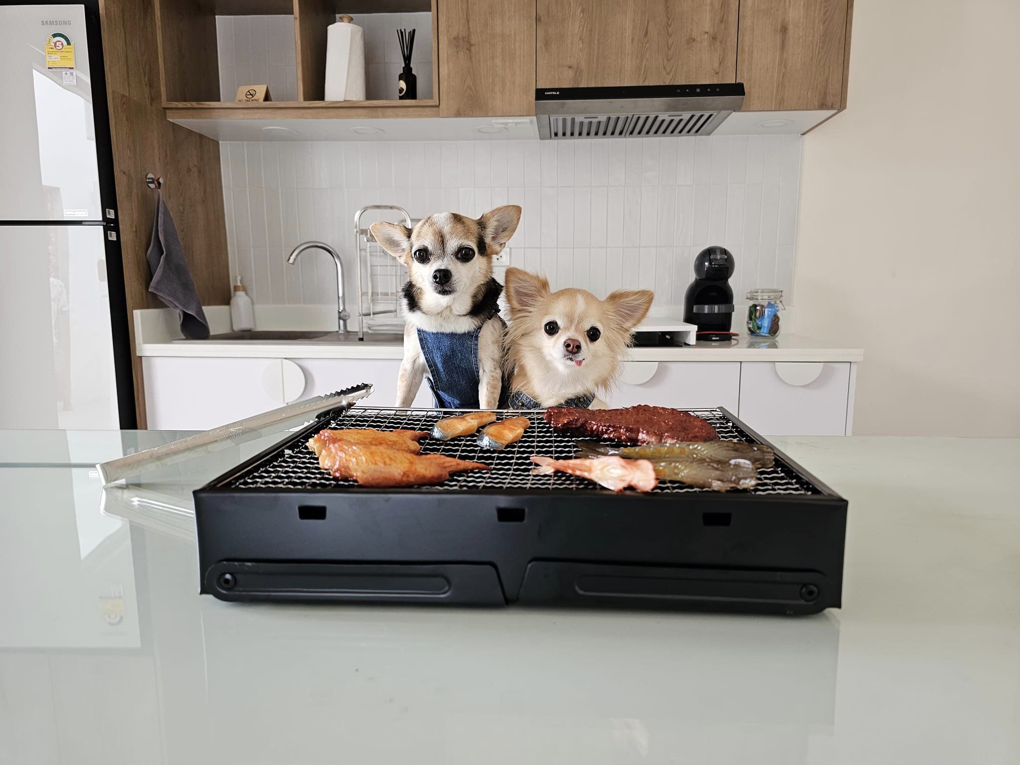 Furbabies