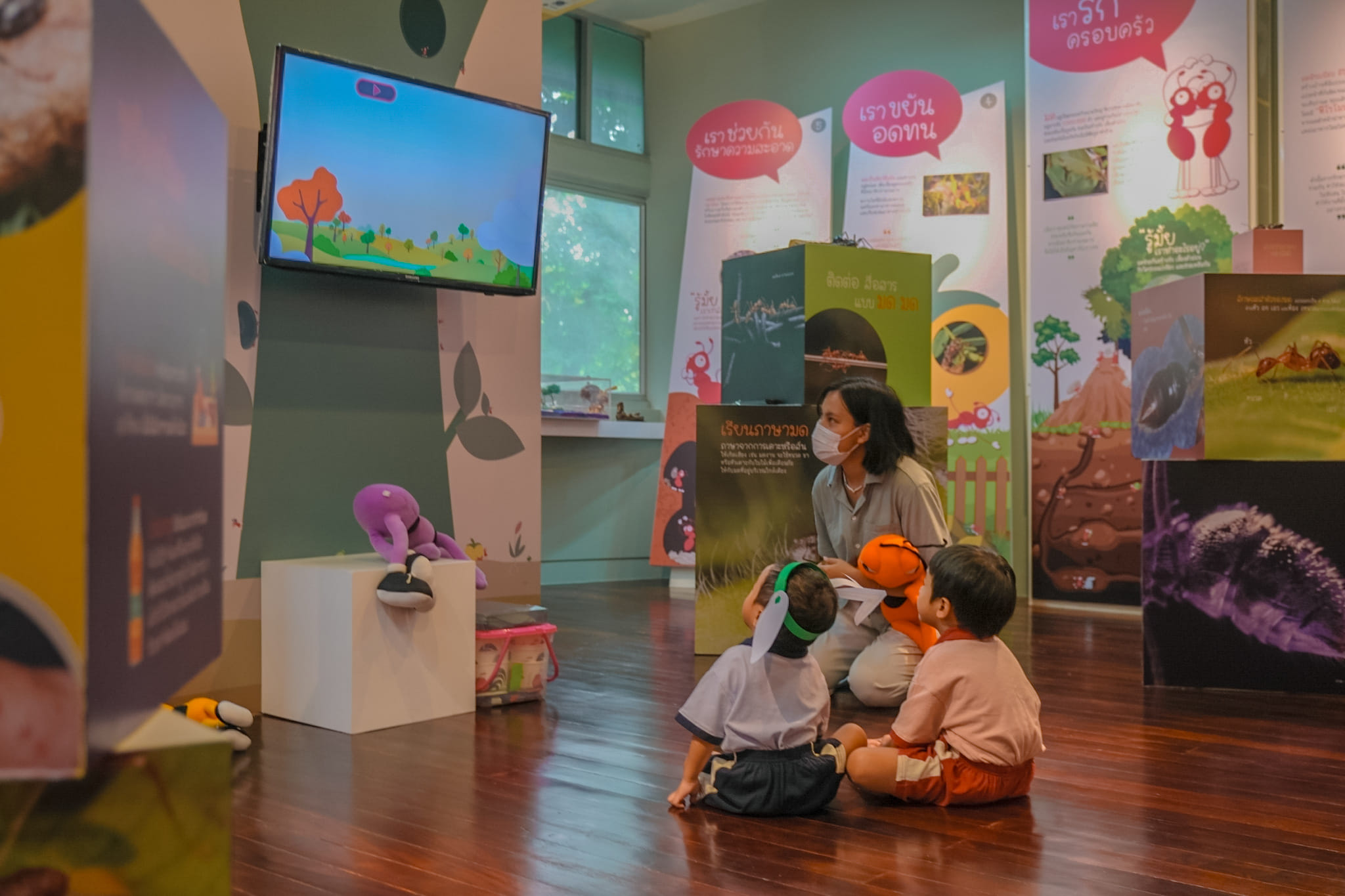 Ant Museum