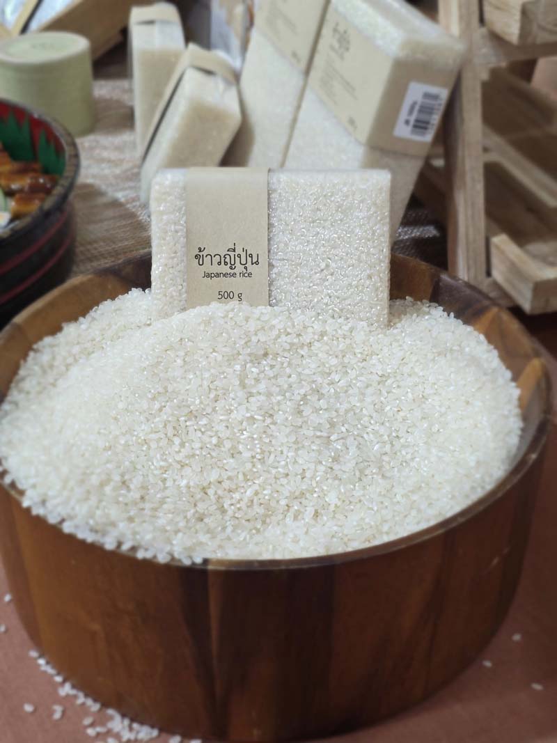 ข้าวจาปอนิกา (Japonica)