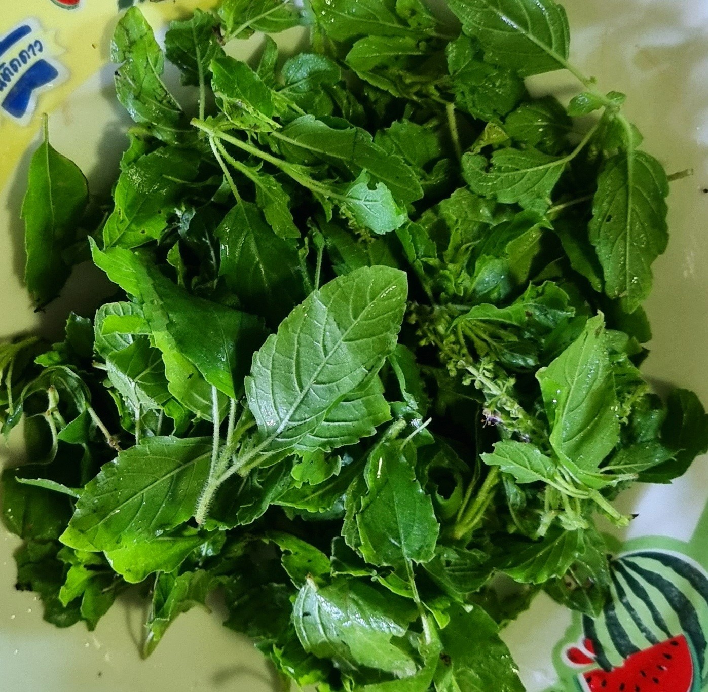 ผัดสะเดา