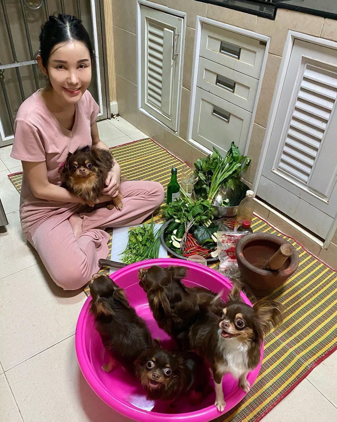 ชิวาวา