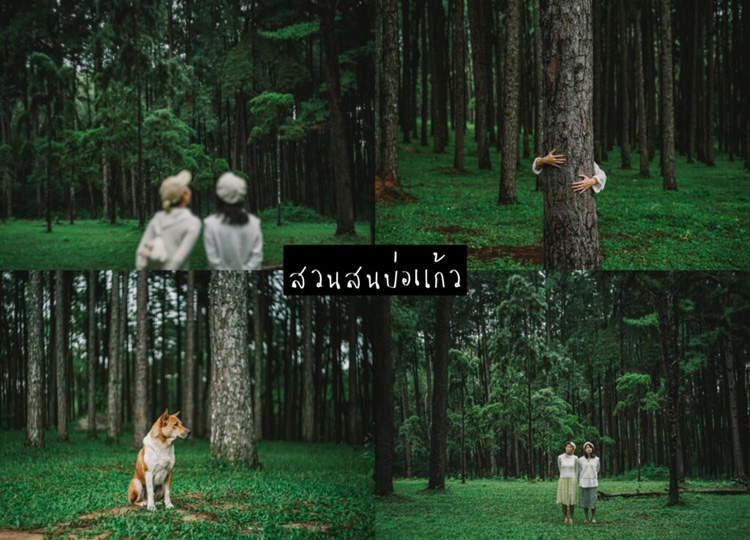 เที่ยวเชียวใหม่