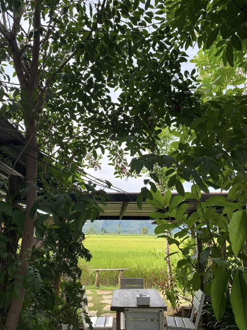 ที่พักวิวทุ่งนา 2568 บ้านระเบียงนา