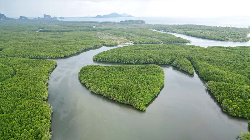 ล่องแพตรัง ชมเกาะรูปหัวใจ เขาจมป่า