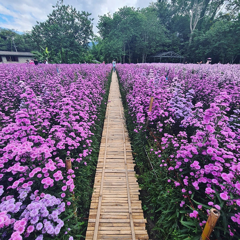 ที่เที่ยวเปิดใหม่ 2563