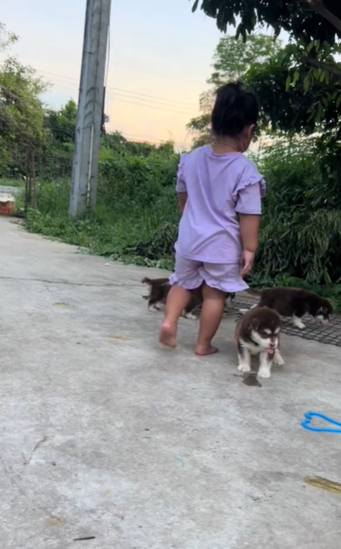 ลูกหมา