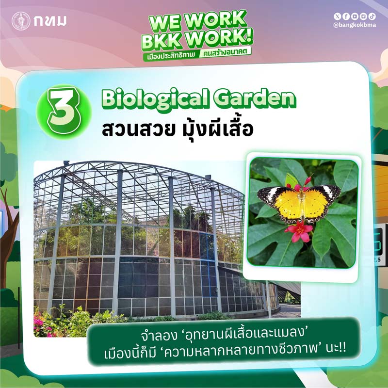 BKK EXPO 2025 ไฮไลต์งาน