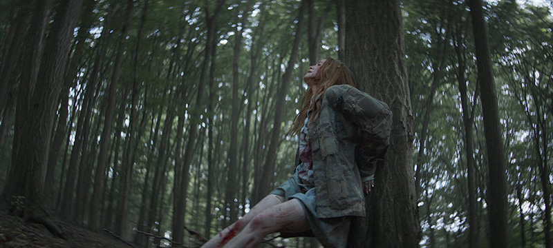 ฉากลุ้นระทึกใน The Strangers: Chapter 2 กับฆาตกรหน้ากากสุดโหด
