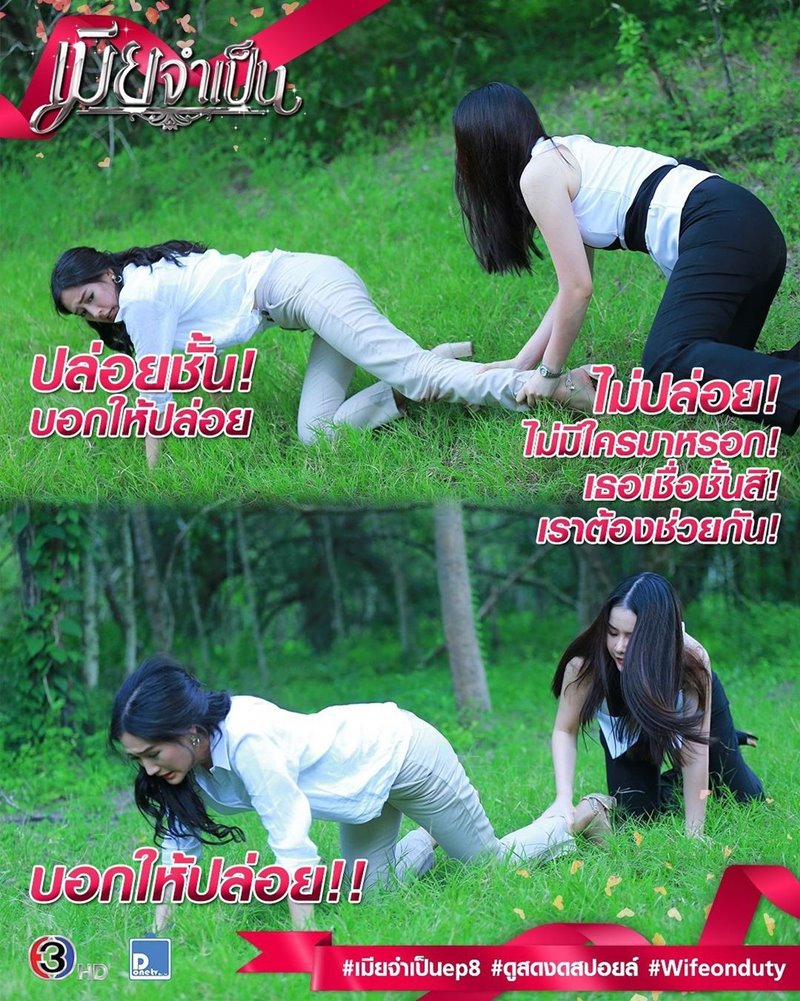 เมียจำเป็น