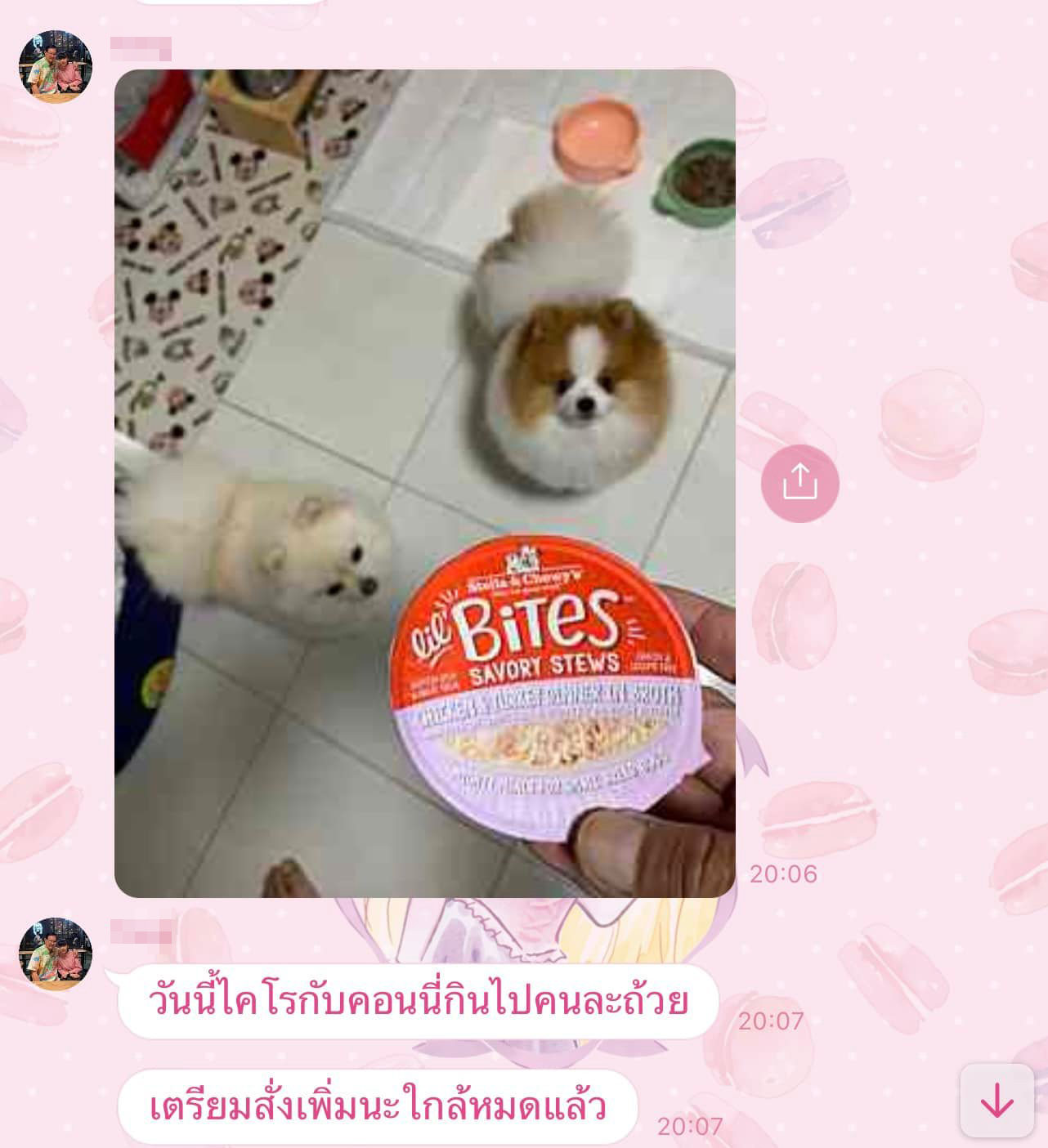 เลี้ยงหมา