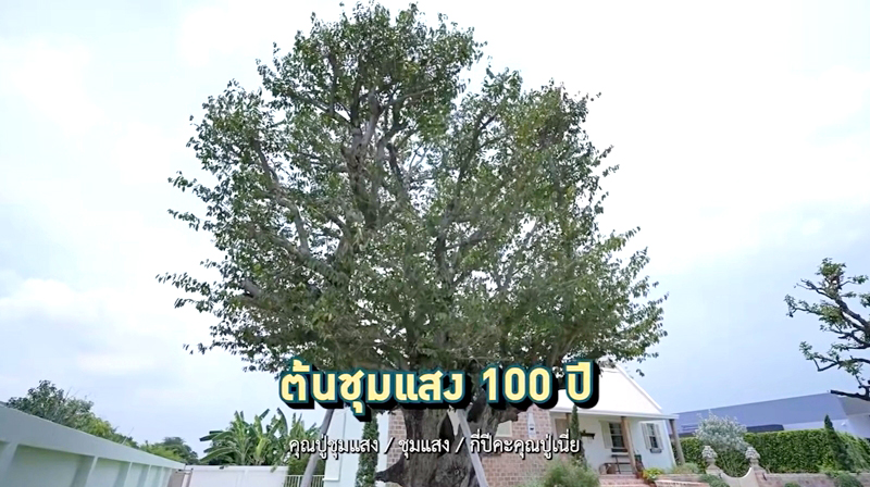 พุฒ-จุ๋ย บ้านสวน