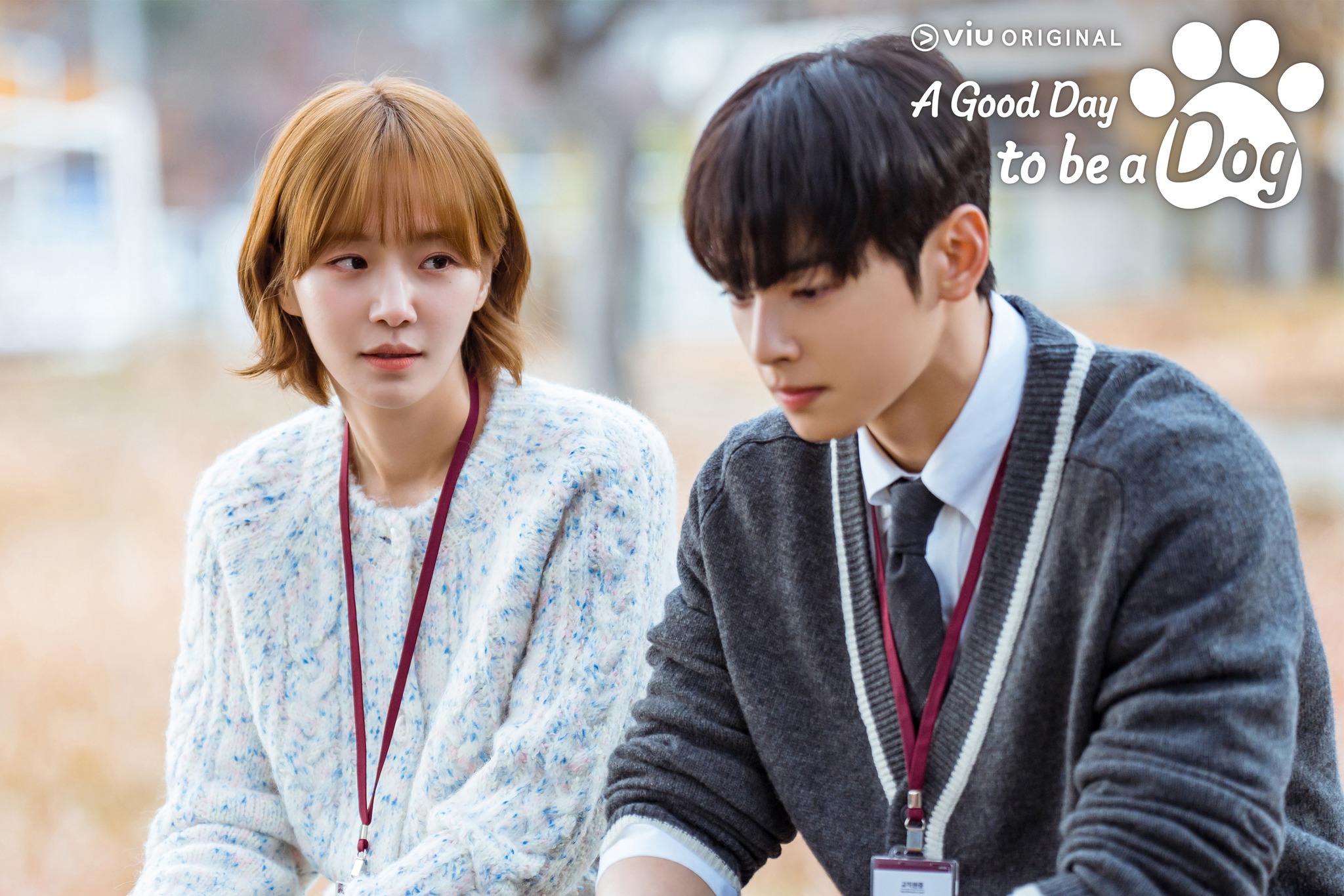 รีวิวซีรีส์, a good day to be a dog
