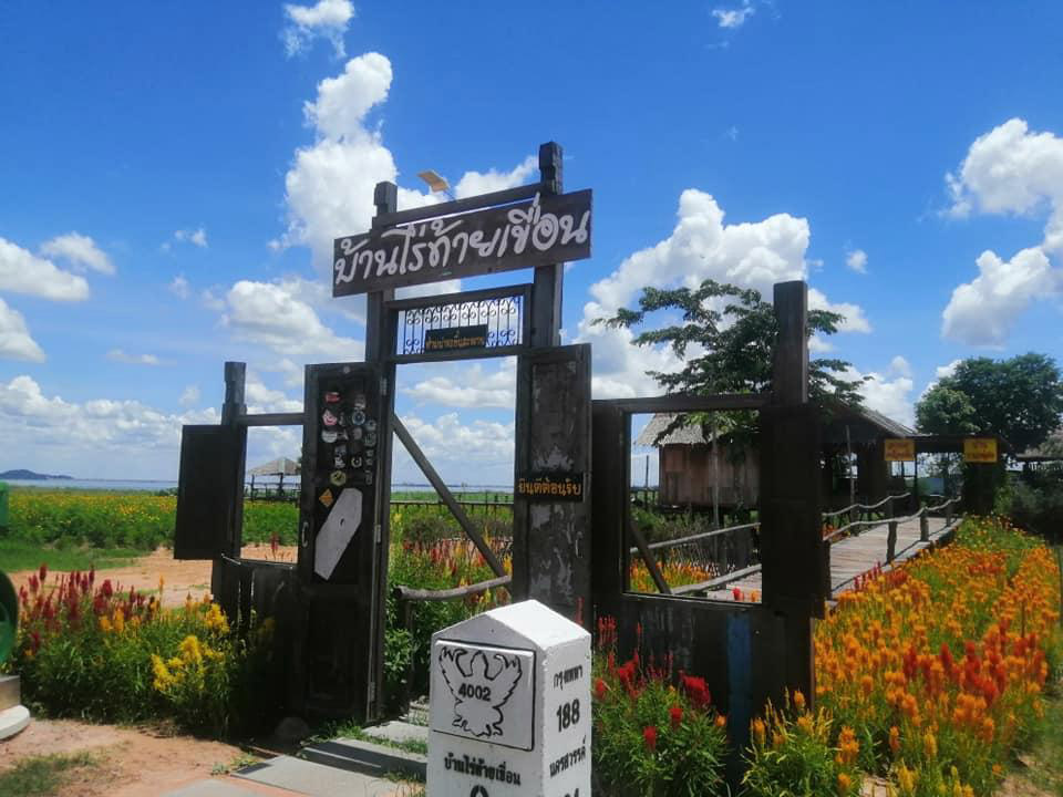 ทุ่งดอกไม้สุพรรณบุรี