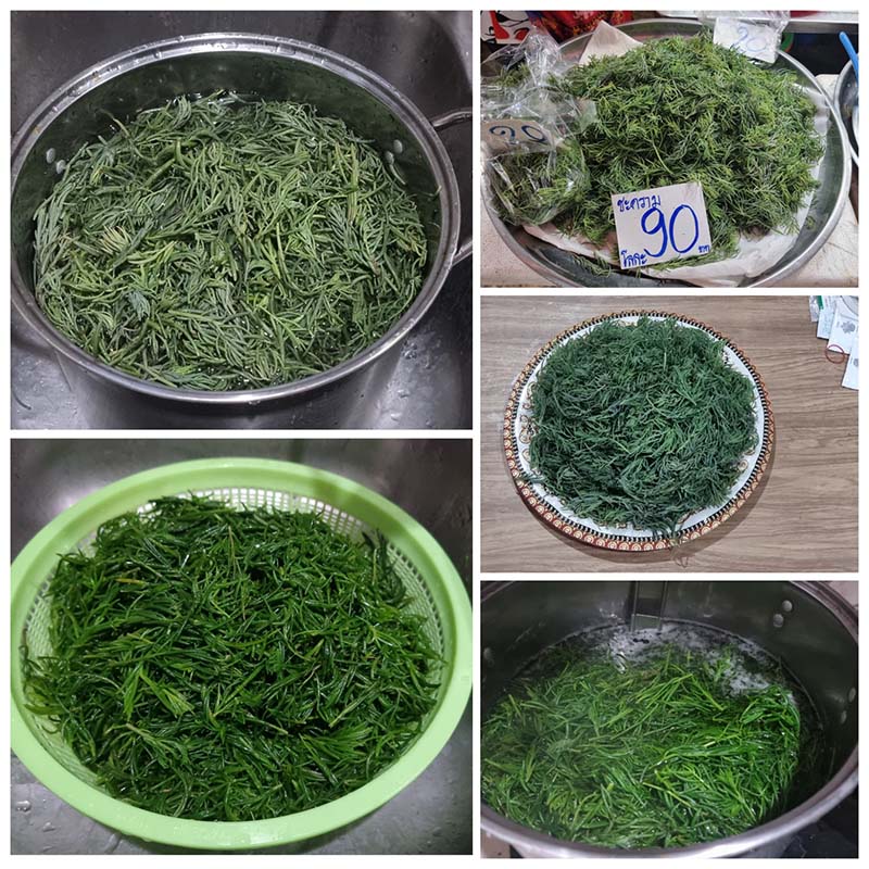 แกงเผ็ดเห็ดเผาะใบชะคราม
