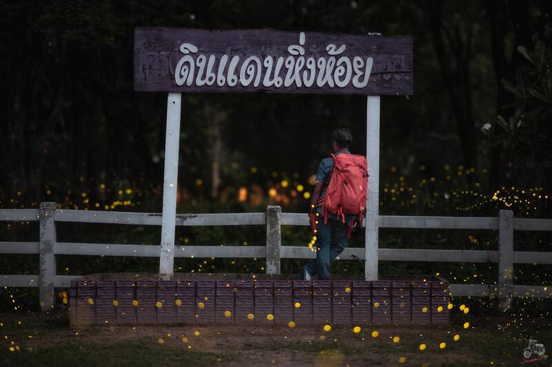 หิ่งห้อย ปราจีนบุรี 2568 ค่ายพรหมโยธี