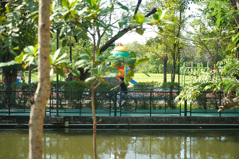 ทุ่งดอกไม้ สวนรถไฟ