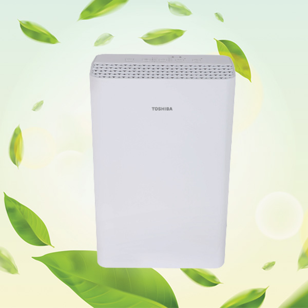 ภาพจาก : toshiba-lifestyle.com