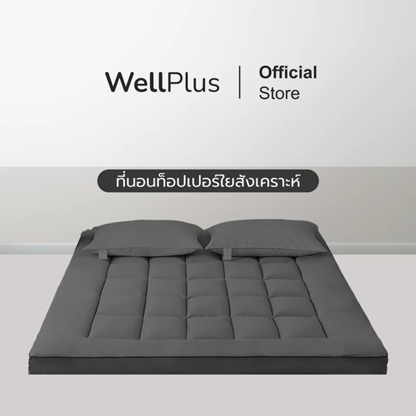 Topper หนา 4 นิ้ว Wellplus