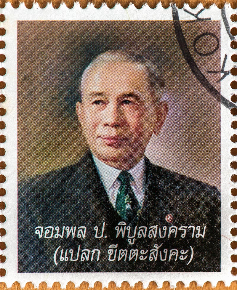 ภาพจาก : Prachaya Roekdeethaweesab/ Shutterstock.com
