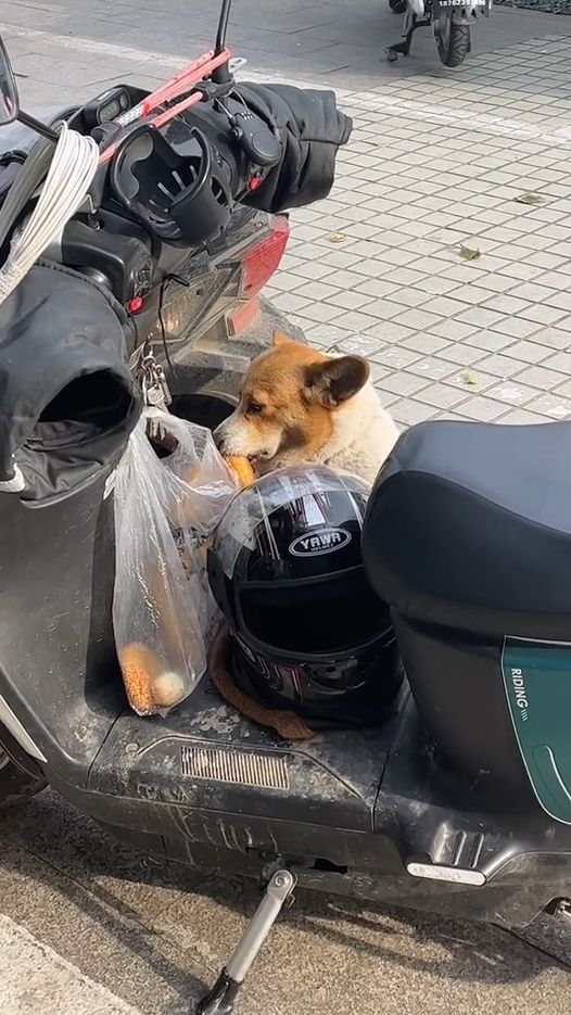 ขโมยของกิน