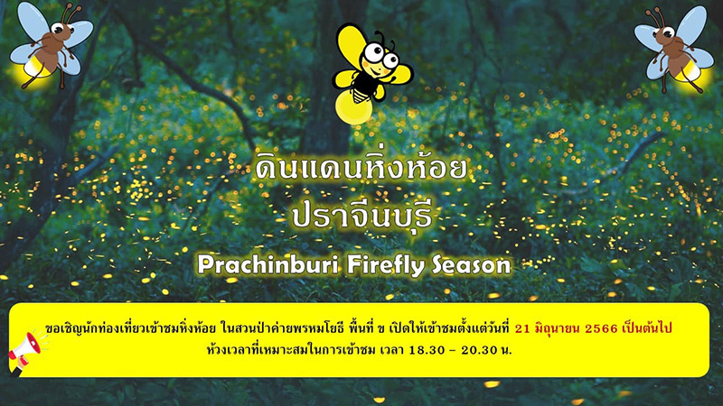 หิ่งห้อย ปราจีนบุรี 2566