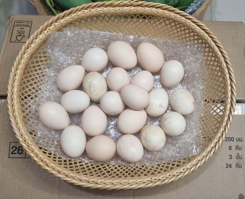 ไข่