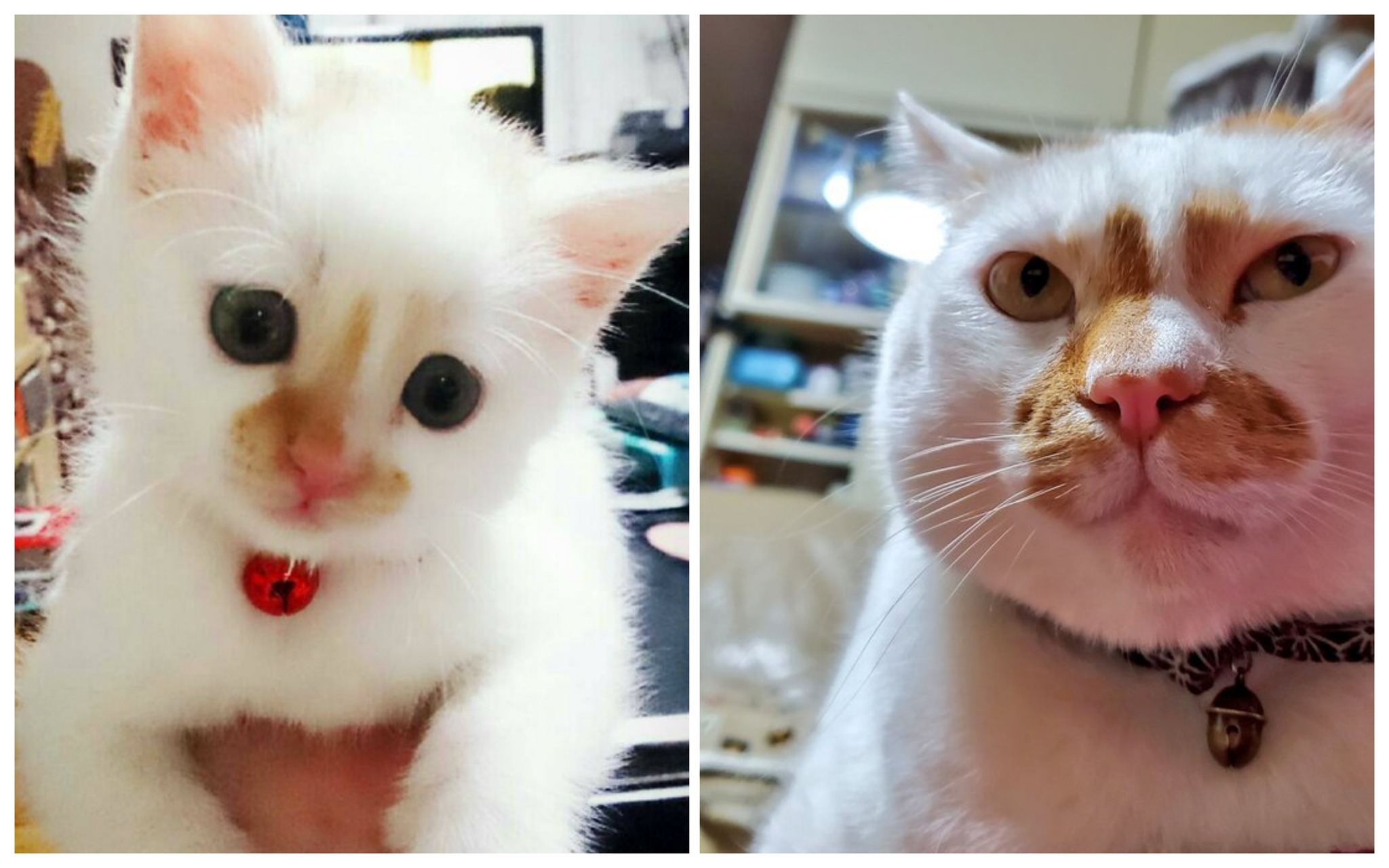 before after