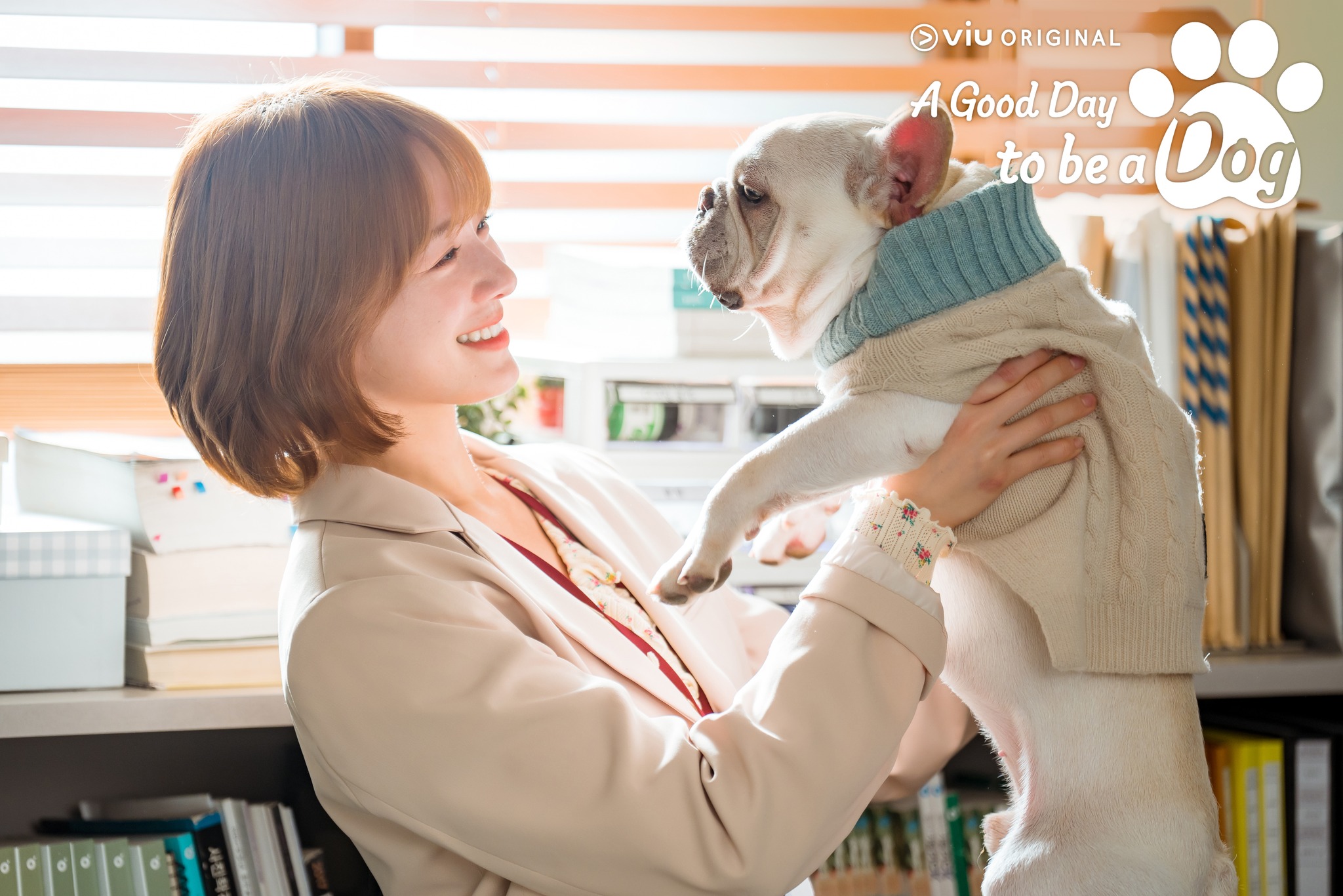 รีวิวซีรีส์, a good day to be a dog