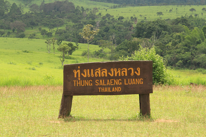 อุทยานแห่งชาติทุ่งแสลงหลวง