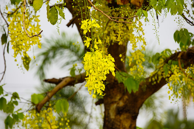 เครื่องราง