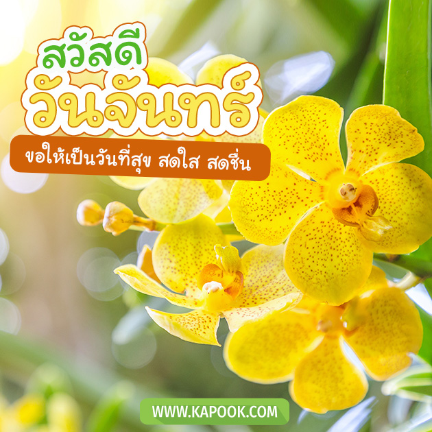 สวัสดีวันจันทร์