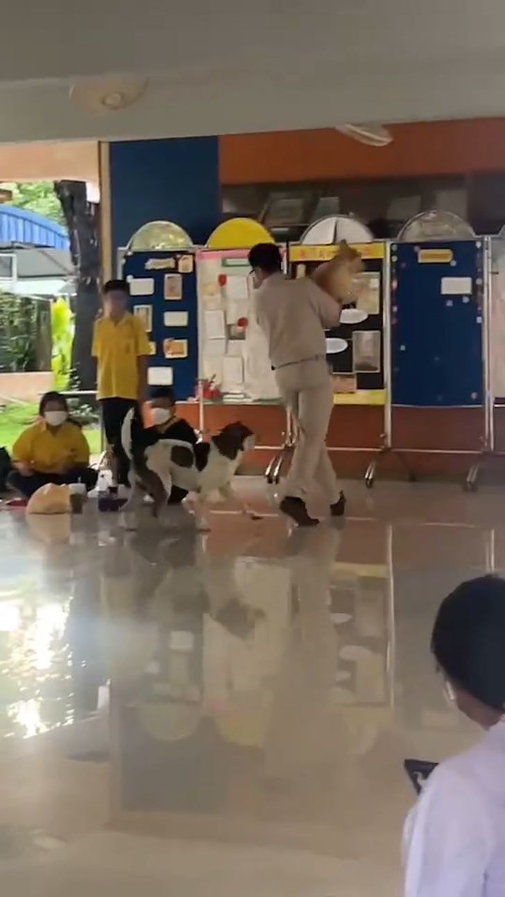 หมากัดกัน