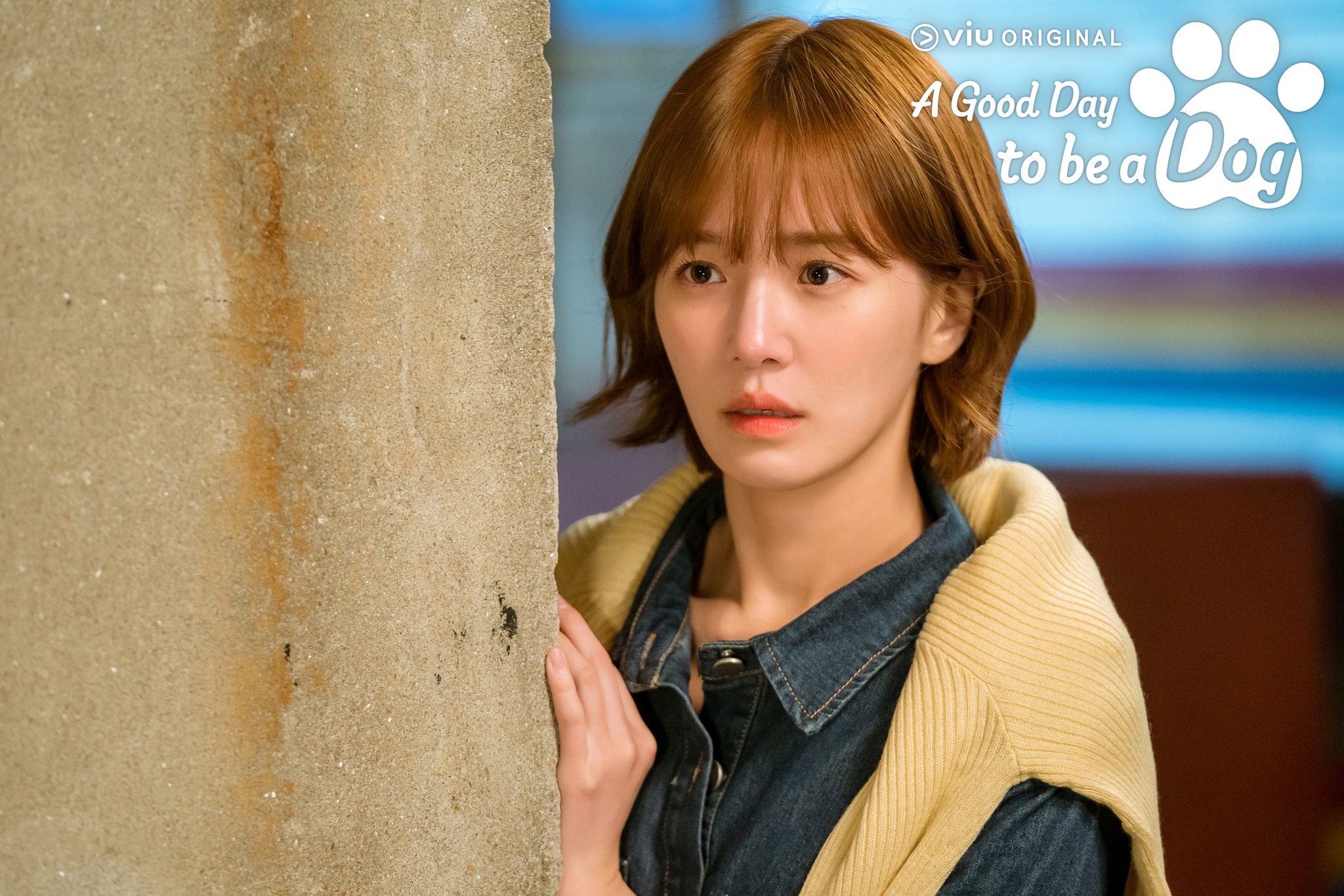 รีวิวซีรีส์, a good day to be a dog