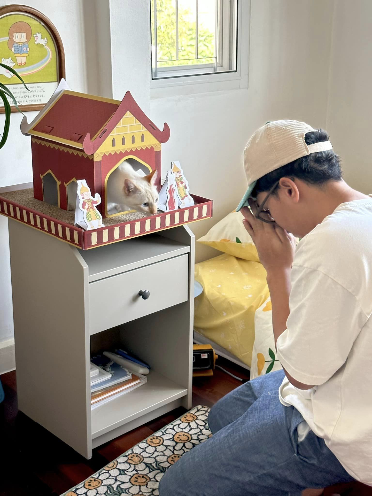 บ้านแมว