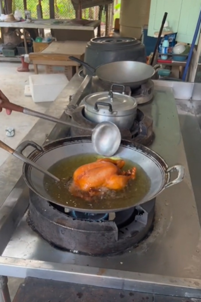 ไก่ภูเขาไฟ