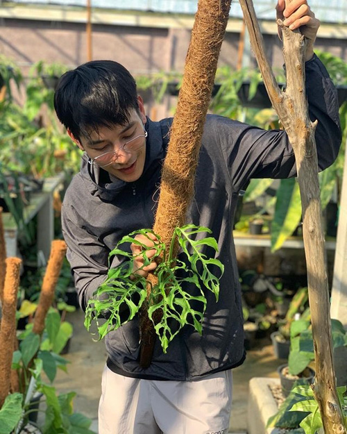 สวน เคน ภูภูมิ เอสเธอร์