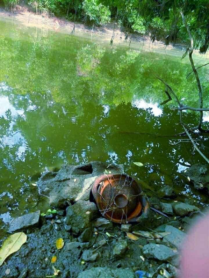 ตกปลา