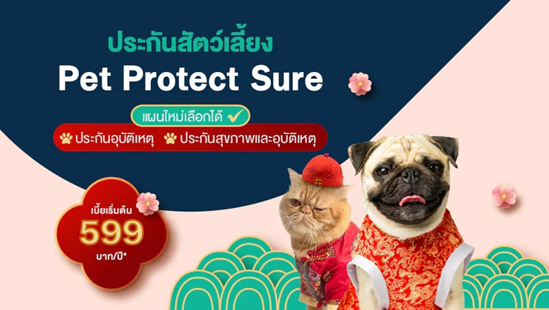 ภาพจาก : falconinsurance.co.th