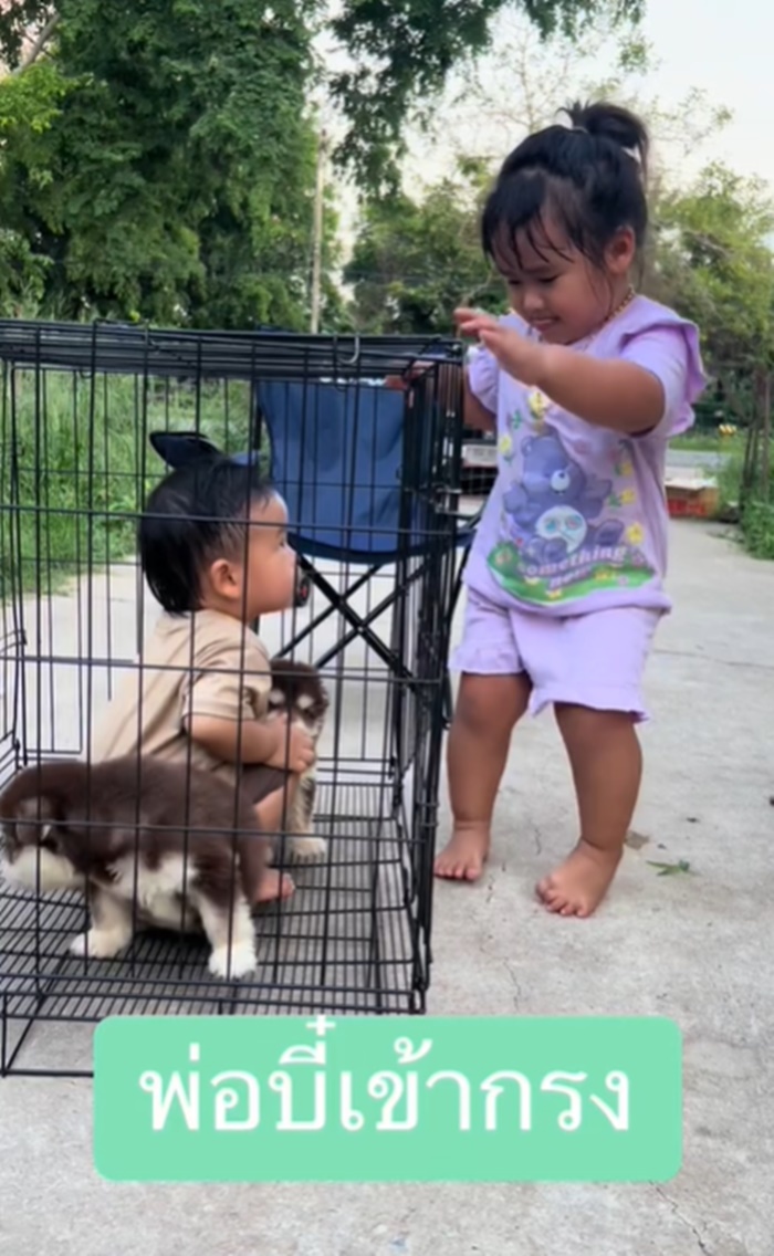 ลูกหมา