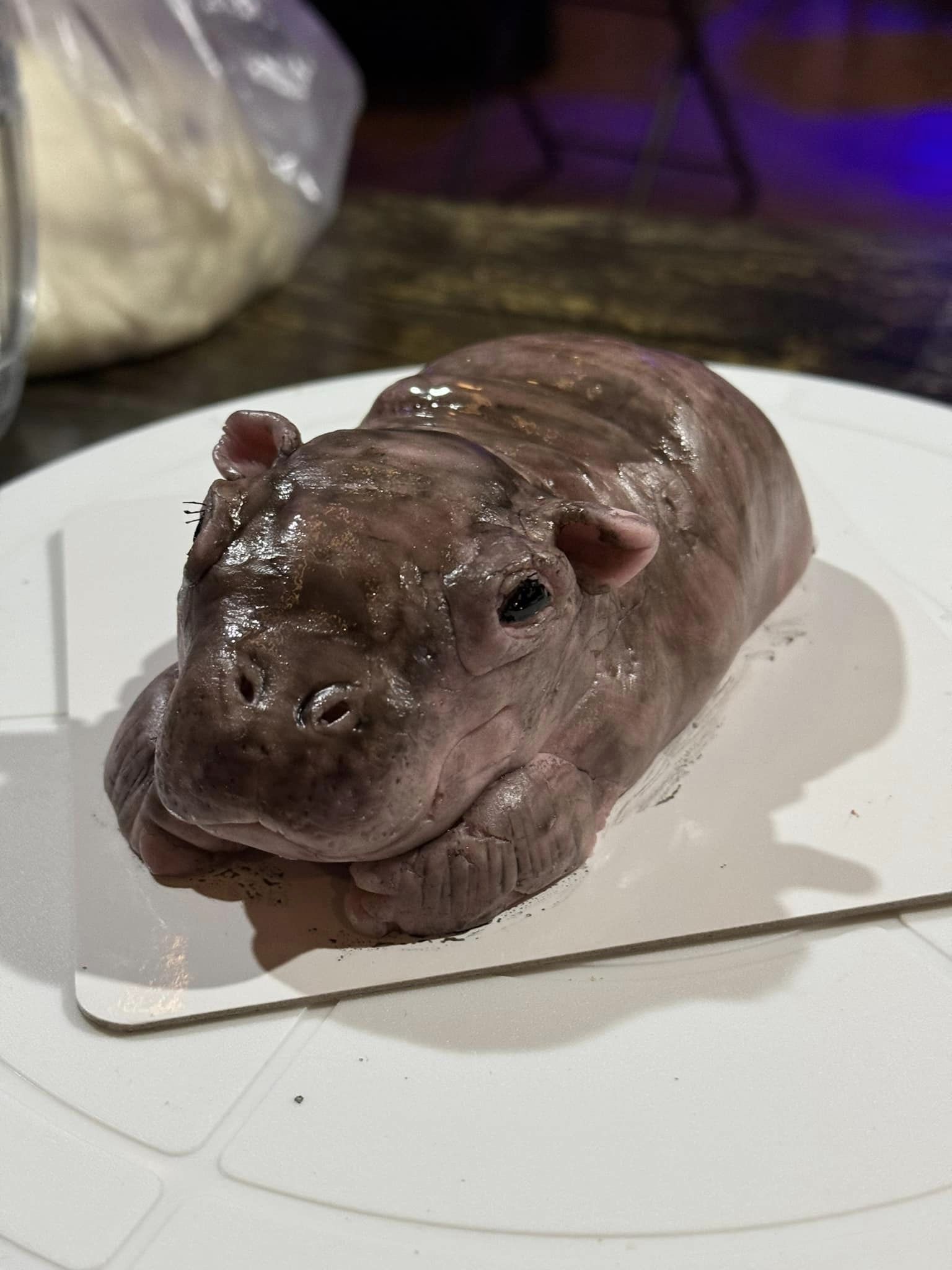 น้องหมูเด้ง