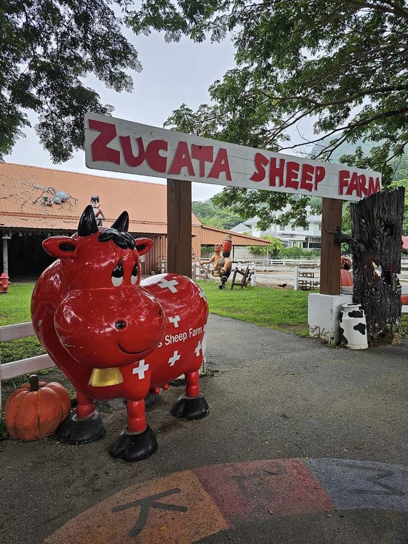 Swiss Sheep Farm