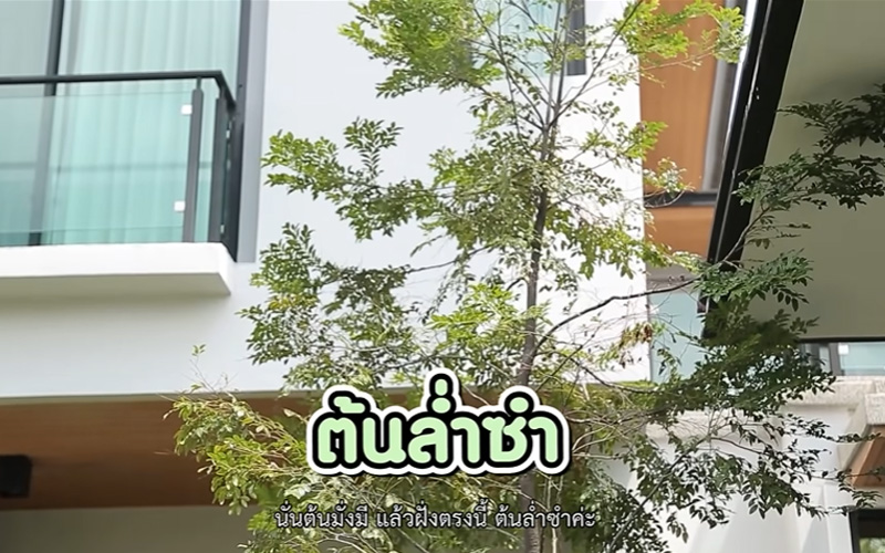 บ้าน ชมพู่ ก่อนบ่าย