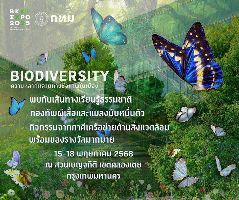 BKK EXPO 2025 ตามหาแสงในสวน ผจญภัยกลางเมืองกับหิ่งห้อย