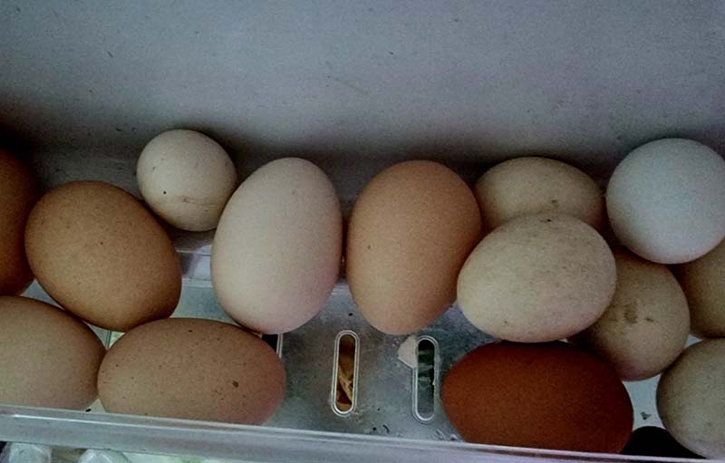 มะระผัดไข่