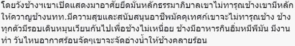 น้ำตาล มารีญา