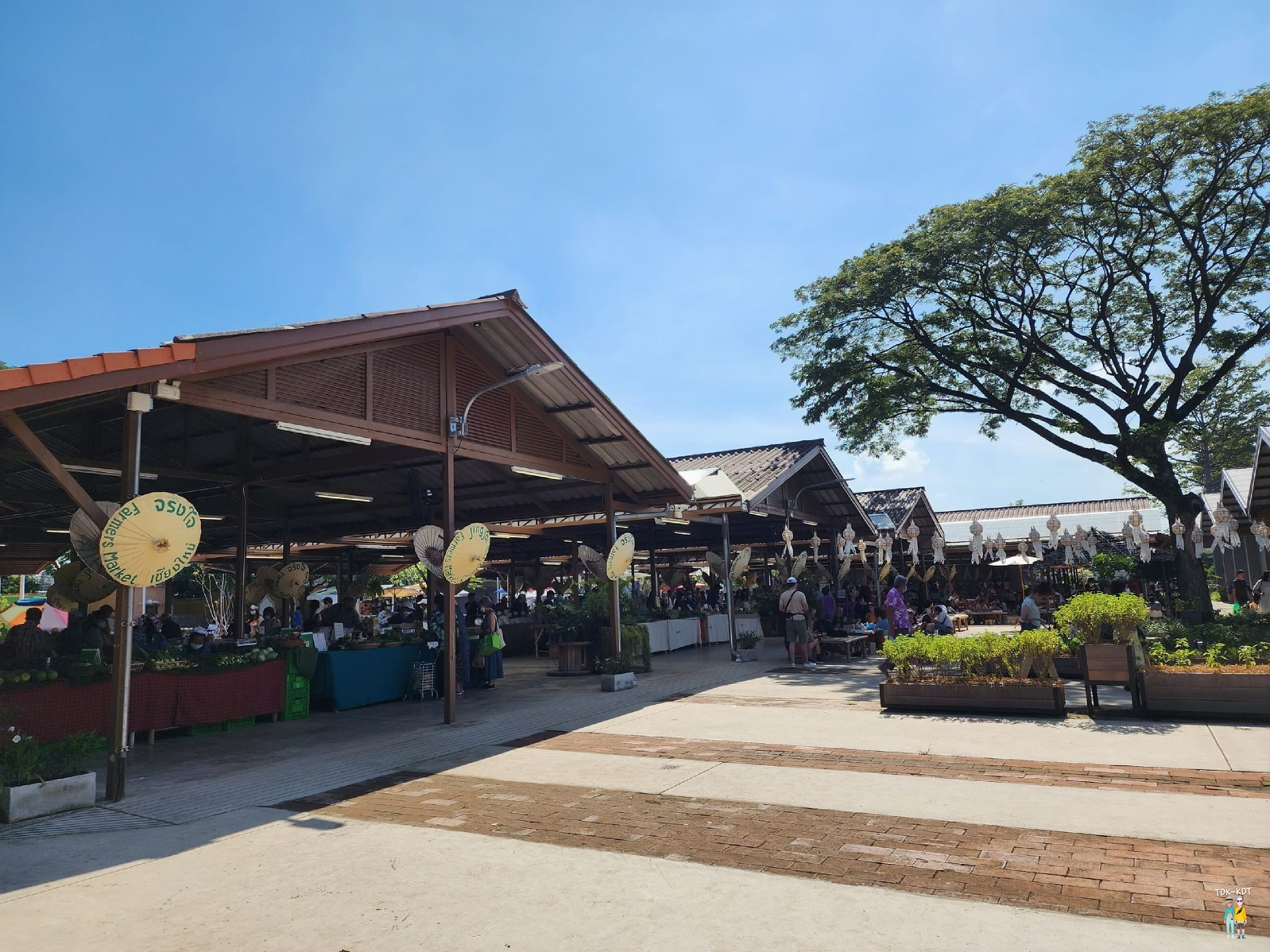 ตลาดจริงใจ เชียงใหม่