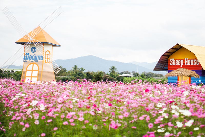 เที่ยวเชียงใหม่