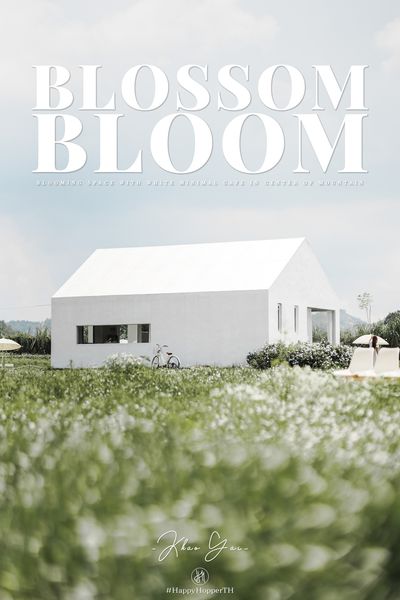 Blossom Bloom