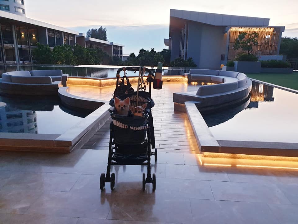 Renaissance Pattaya Resort & Spa,
