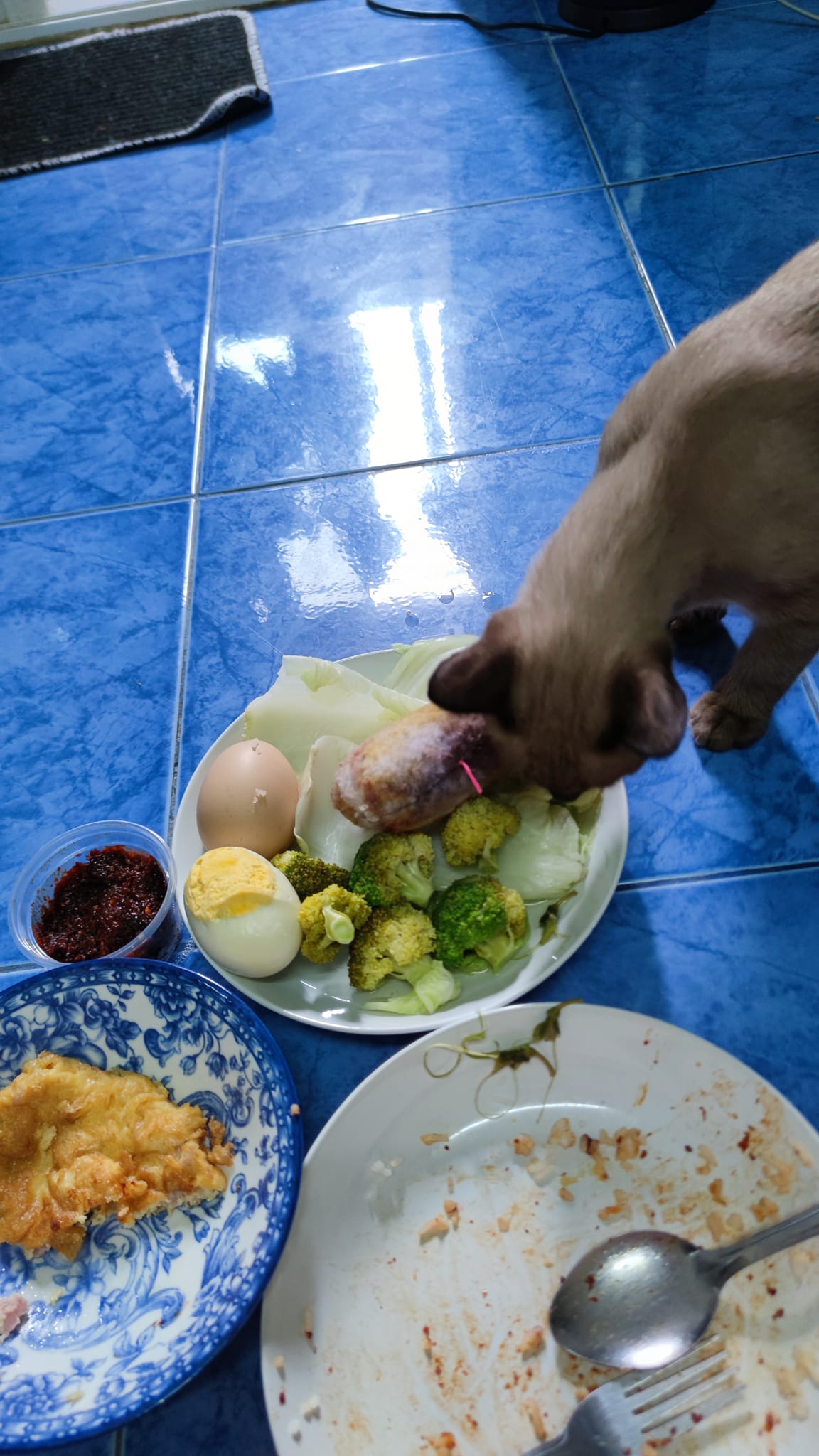 ตุ๊กตาปลาทู
